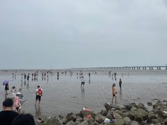 -上海滴水湖皇冠假日酒店