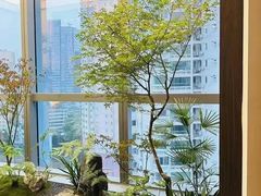 -四方茶集·茶馆(南山科技园店)