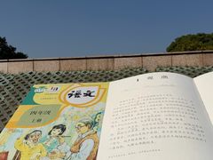 -观潮胜地公园