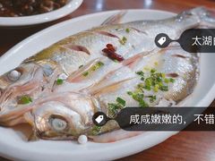 -美味之家·湖景农家乐(太湖东山店)