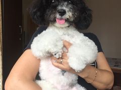 -1013 PET SHOP 宠物商店(近铁城市广场店)