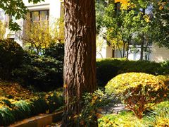 -沪东工人文化宫