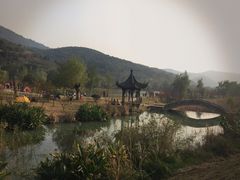 -石塘人家