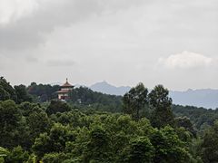 -金水泊山庄·花椒鸡(铁山坪店)