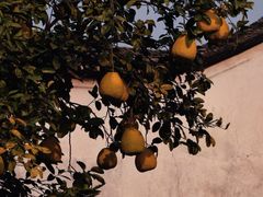 -东梓关景区村庄