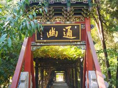 -晋祠公园
