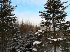 -长白山华美胜地滑雪场