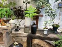 -双季花艺园艺市场(浦东店)