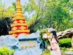 -瑞丽独树成林风景区