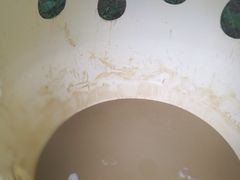 -100蛋泥浆浴