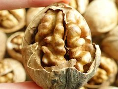 纸皮核桃-绿叶水果(好莱城店)