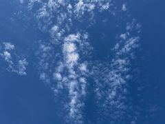 -天鹅湖体育公园