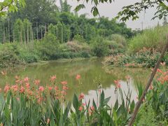 -桤木河湿地公园