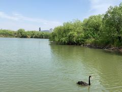 -长兴太湖图影湿地文化园