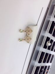 -Wisezone唯点穿耳打耳洞专业国际连锁品牌