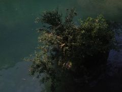 -阿依河景区