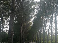 -东郊湿地公园