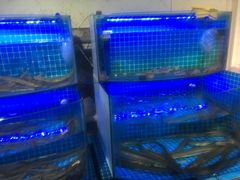 -前王院•巧克力海鲜市集餐厅(万平口店)