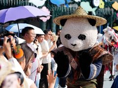 -海合安成都极地海洋公园