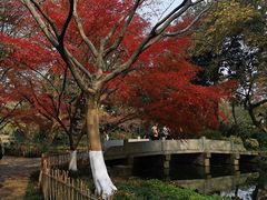 -西湖天地