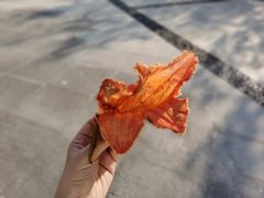 -厦门园林博览苑