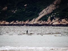 -北岐滩涂