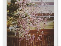-山下面包坊(湖滨店)