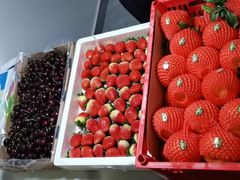 -西郊国际农产品交易中心