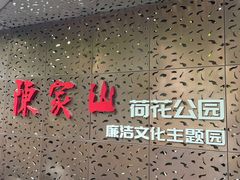 -陈家山荷花公园