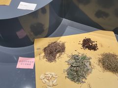 -广东中医药博物馆