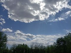 -武清南湖绿博园