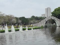 -金砂公园