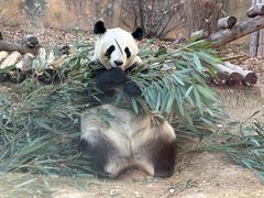 -青藏高原野生动物园