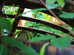 -江天生态园餐厅