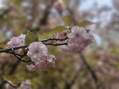 -苏州河梦清园环保主题公园