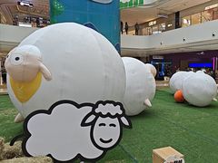 -阳光天地