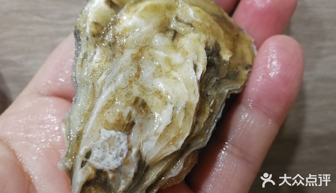 看得见的蚝美味～part 1 清蒸生蚝