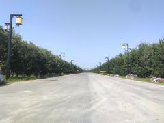 -汉长安城未央宫国家考古遗址公园