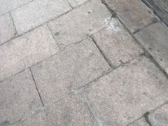 -四条包子(古城街店)