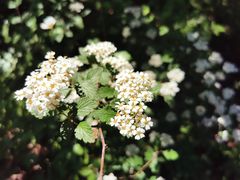 -北京上方山国家森林公园