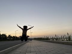 -芒洲湿地公园