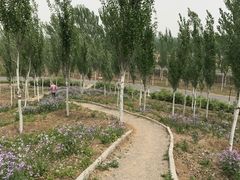 -东郊湿地公园