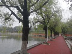 -南山公园