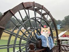 -铁山坪森林公园