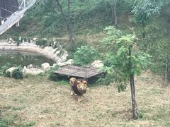 -石家庄市动物园