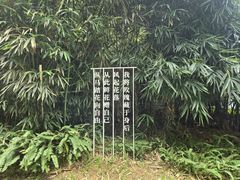 -云溪植物园