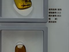 -中华赏石园