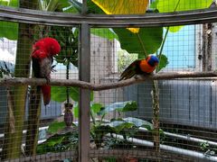 -大连森林动物园