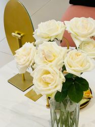 点击看大图 -WENDY·温迪皮肤管理