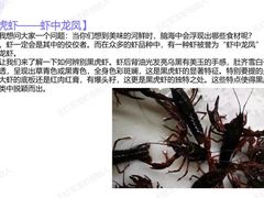 -王红军龙虾(新民路店)